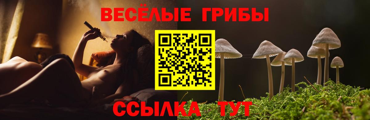 Павлово  Галлюциногенные грибы мухоморы  Вход с VPN 